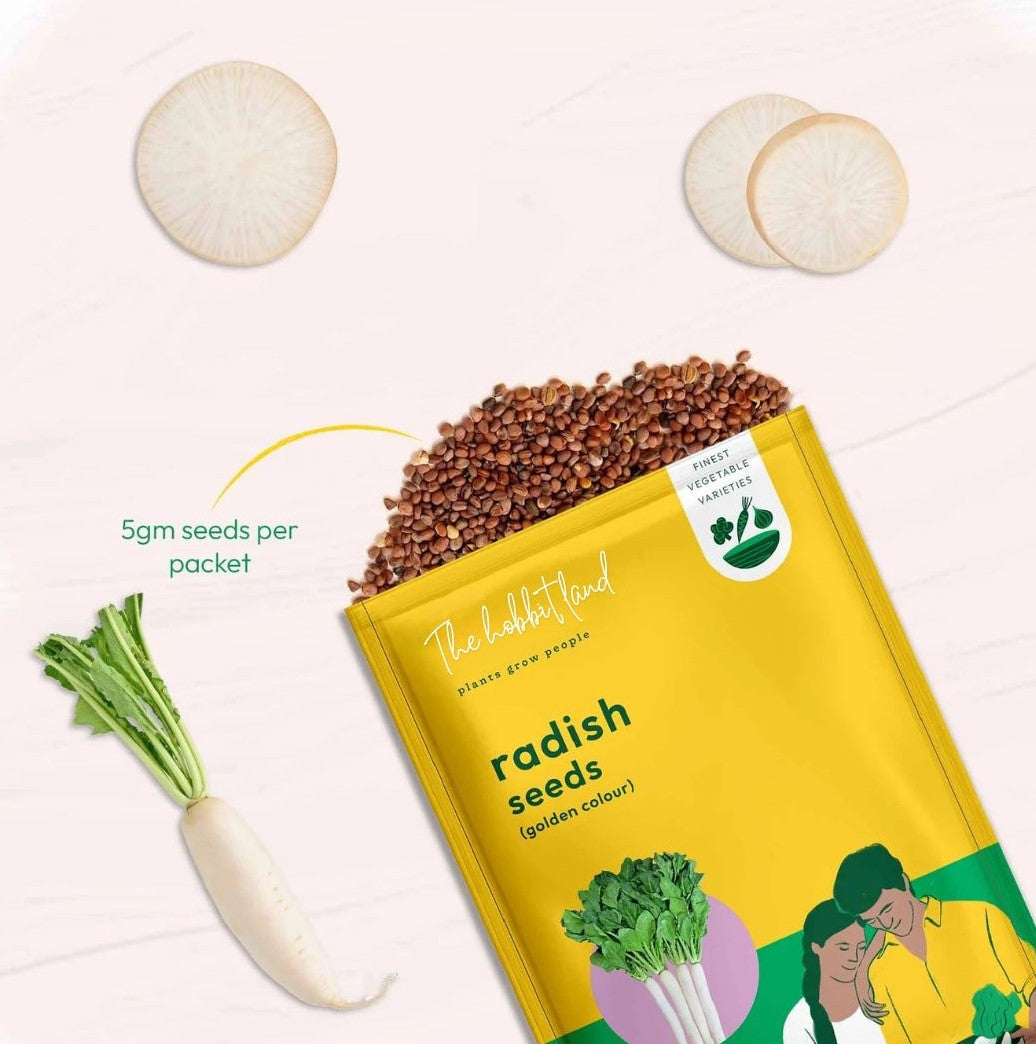 White Radish