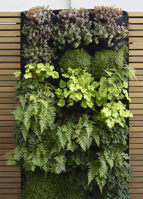 Vertical Garden Installation