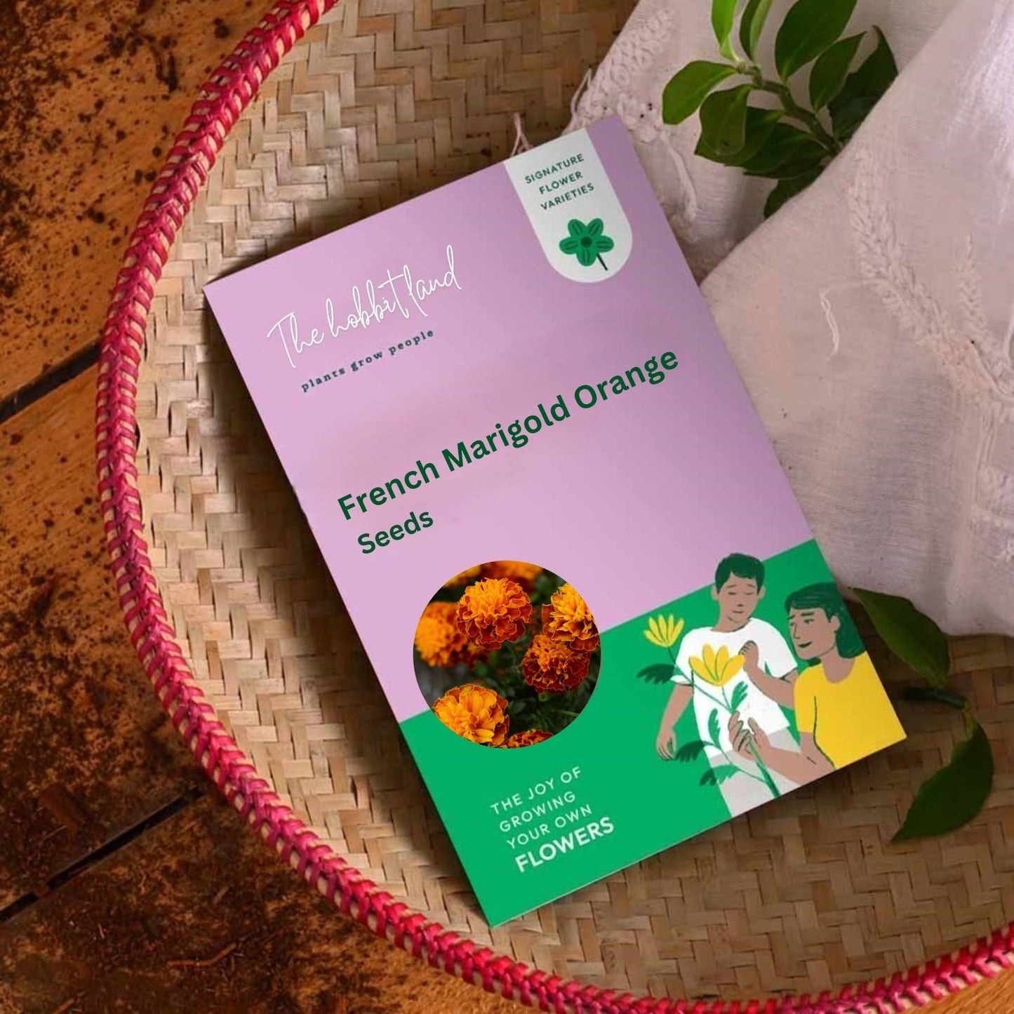 French Marigold Orange