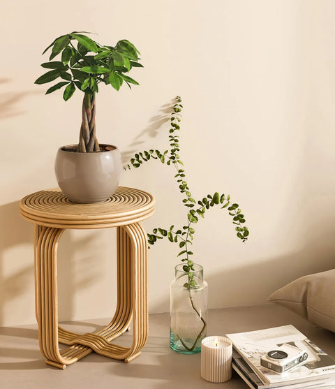 Money Tree