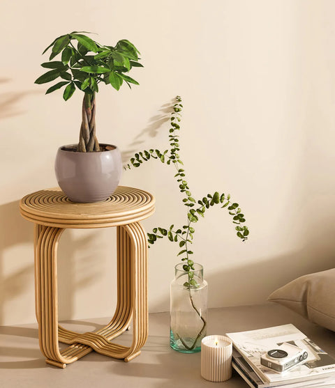 Money Tree