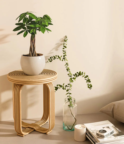 Money Tree