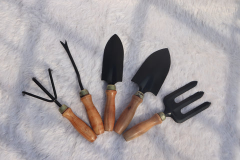 Trowel Set of 5