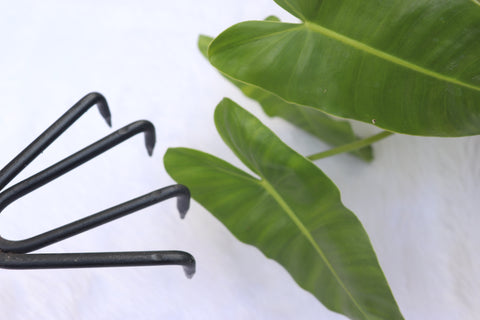 Hand Cultivator