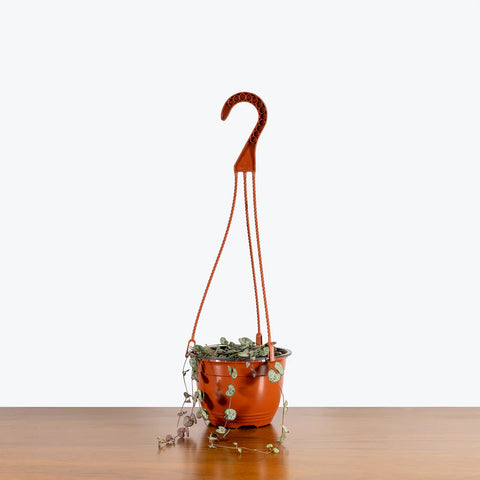 String of Hearts