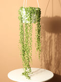 String of Pearls XL