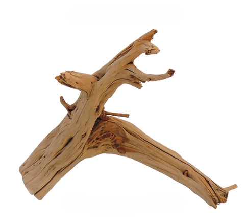 Manzanita Driftwood
