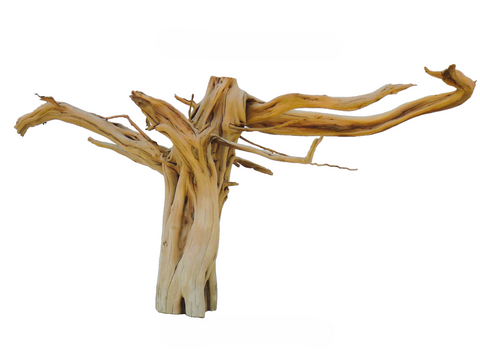 Manzanita Driftwood