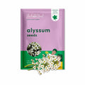 Alyssum White