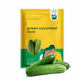 Cucumber