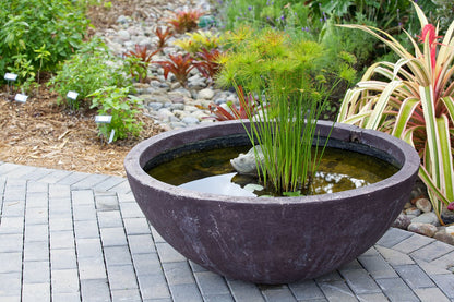 Ponds & Fountains - Setup & Maintenance