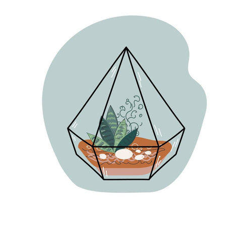Terrarium Container
