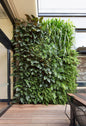 Vertical Garden Installation