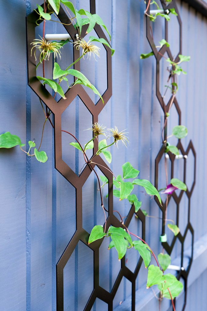 Vertical Garden Installation