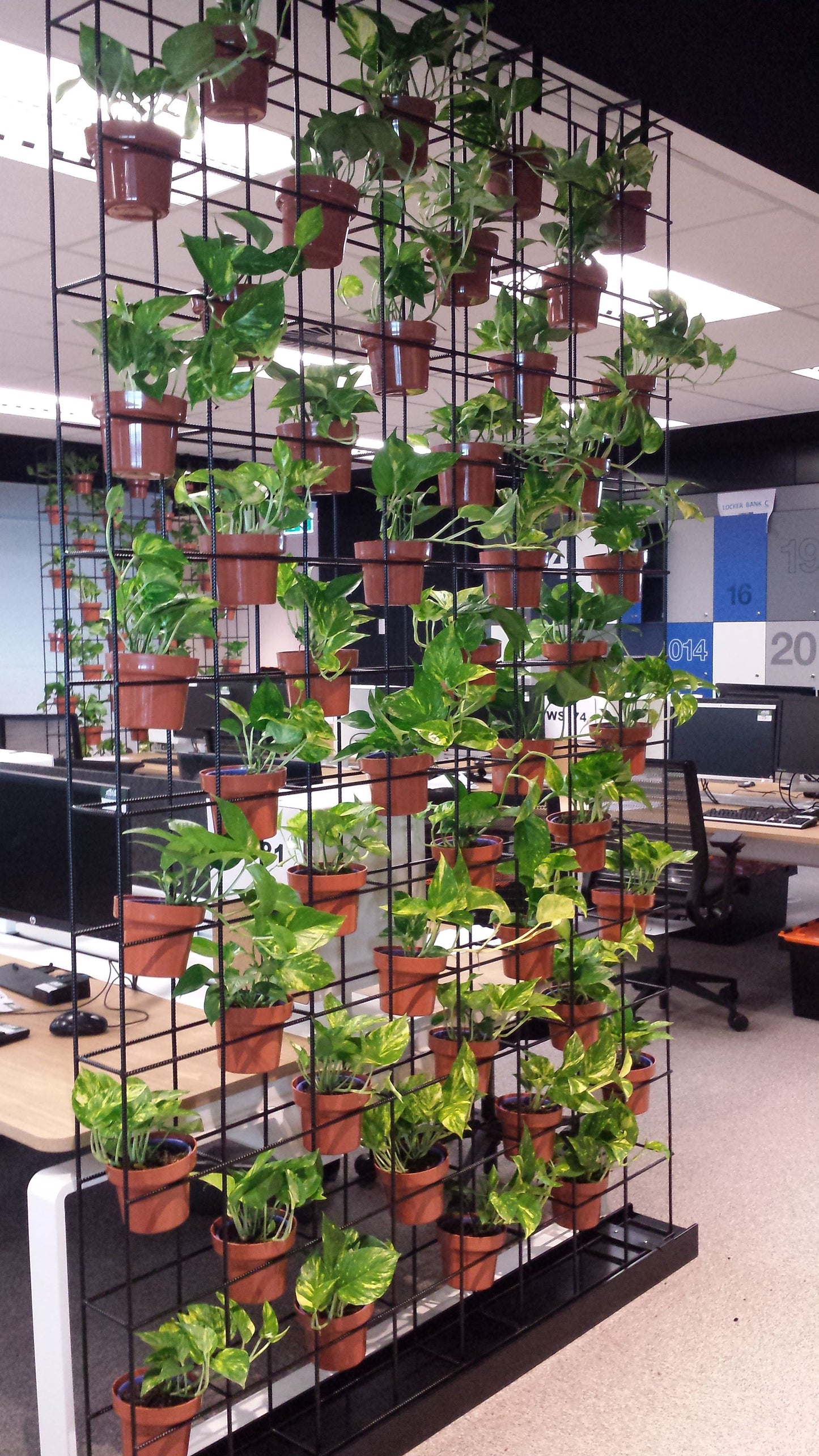 Vertical Garden Installation