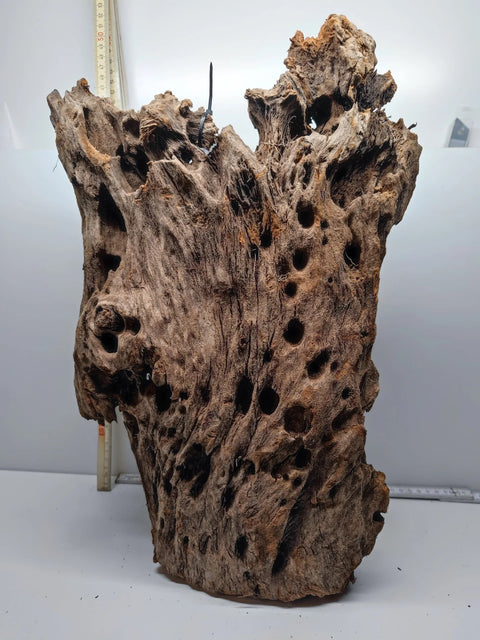 Dragon Wood