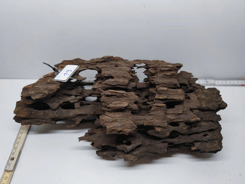 Dragon Wood