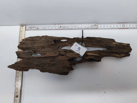 Dragon Wood