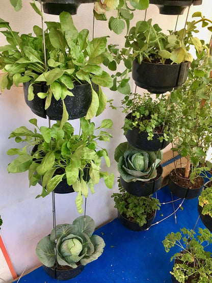 Vertical Garden Installation