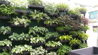 Vertical Garden Installation