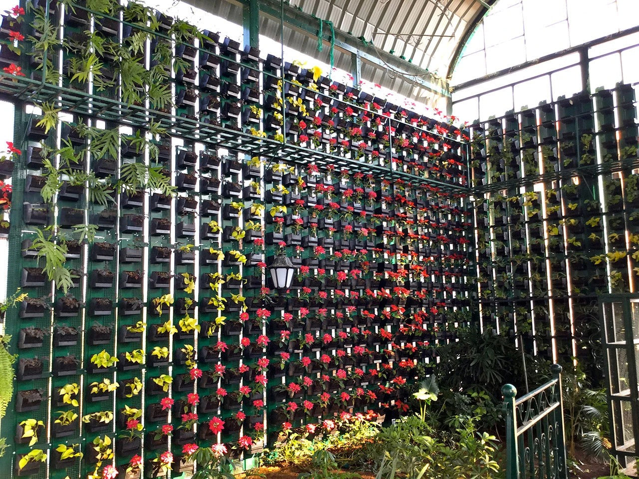 Vertical Garden Installation