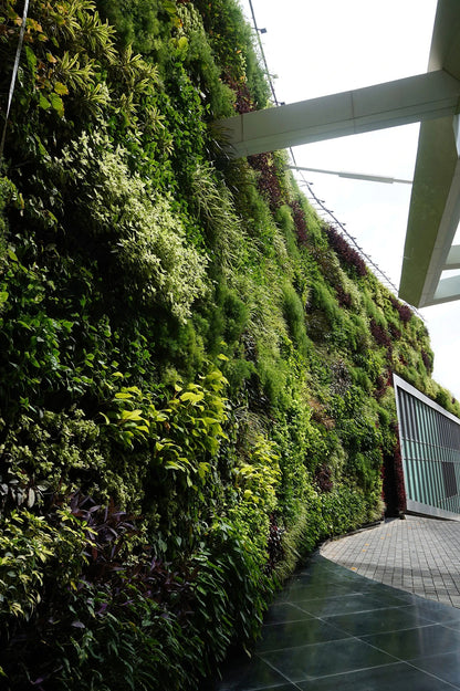 Vertical Garden Installation