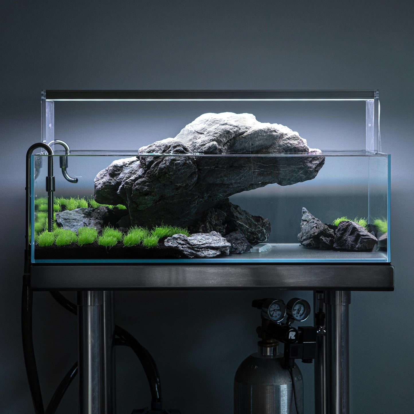 Aquarium Setup & Maintenance