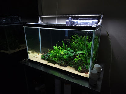 Aquarium Setup & Maintenance