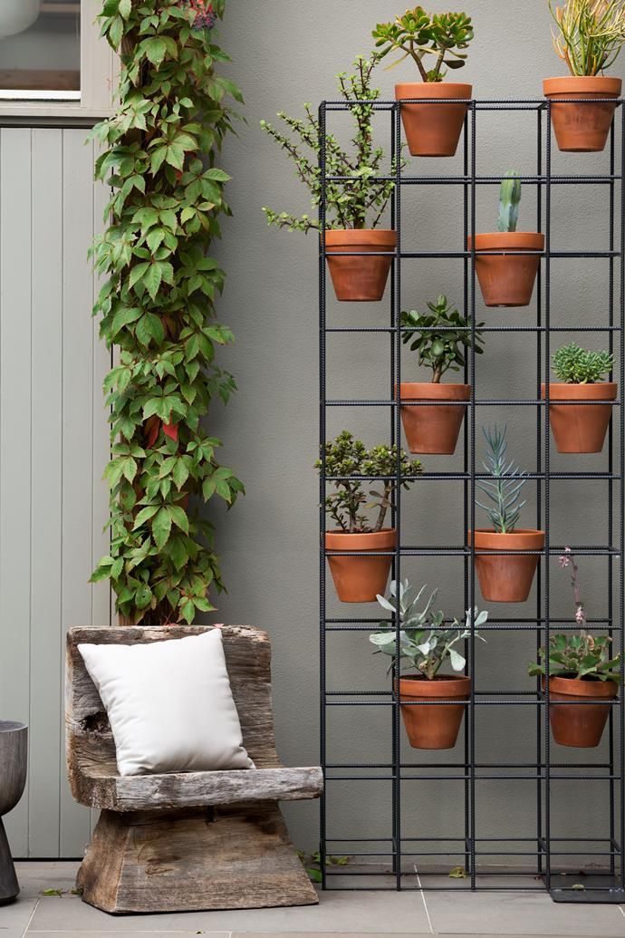 Vertical Garden Installation