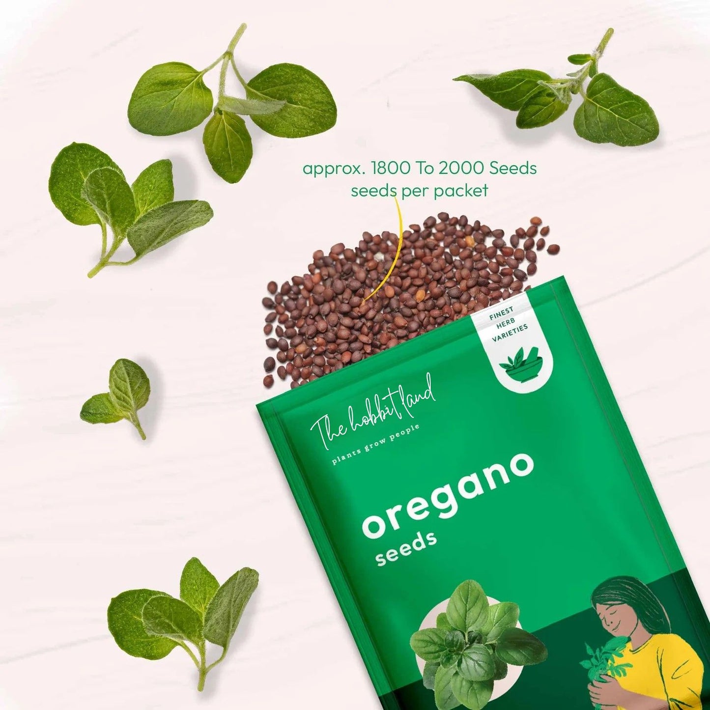 Oregano