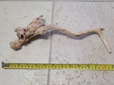 Manzanita Driftwood
