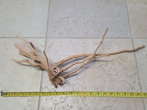Manzanita Driftwood