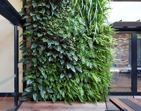Vertical Garden Installation