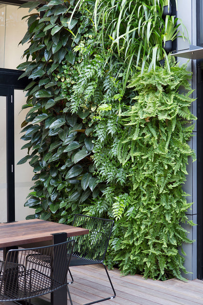 Vertical Garden Installation