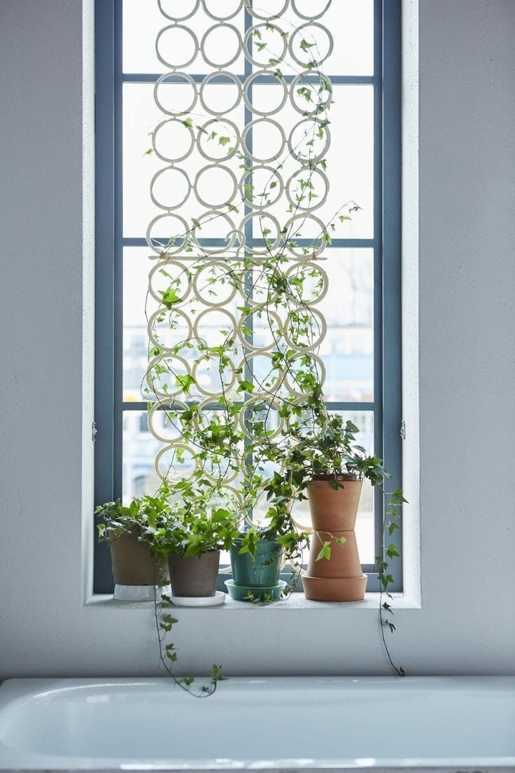 Vertical Garden Installation