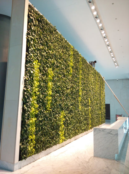 Vertical Garden Installation