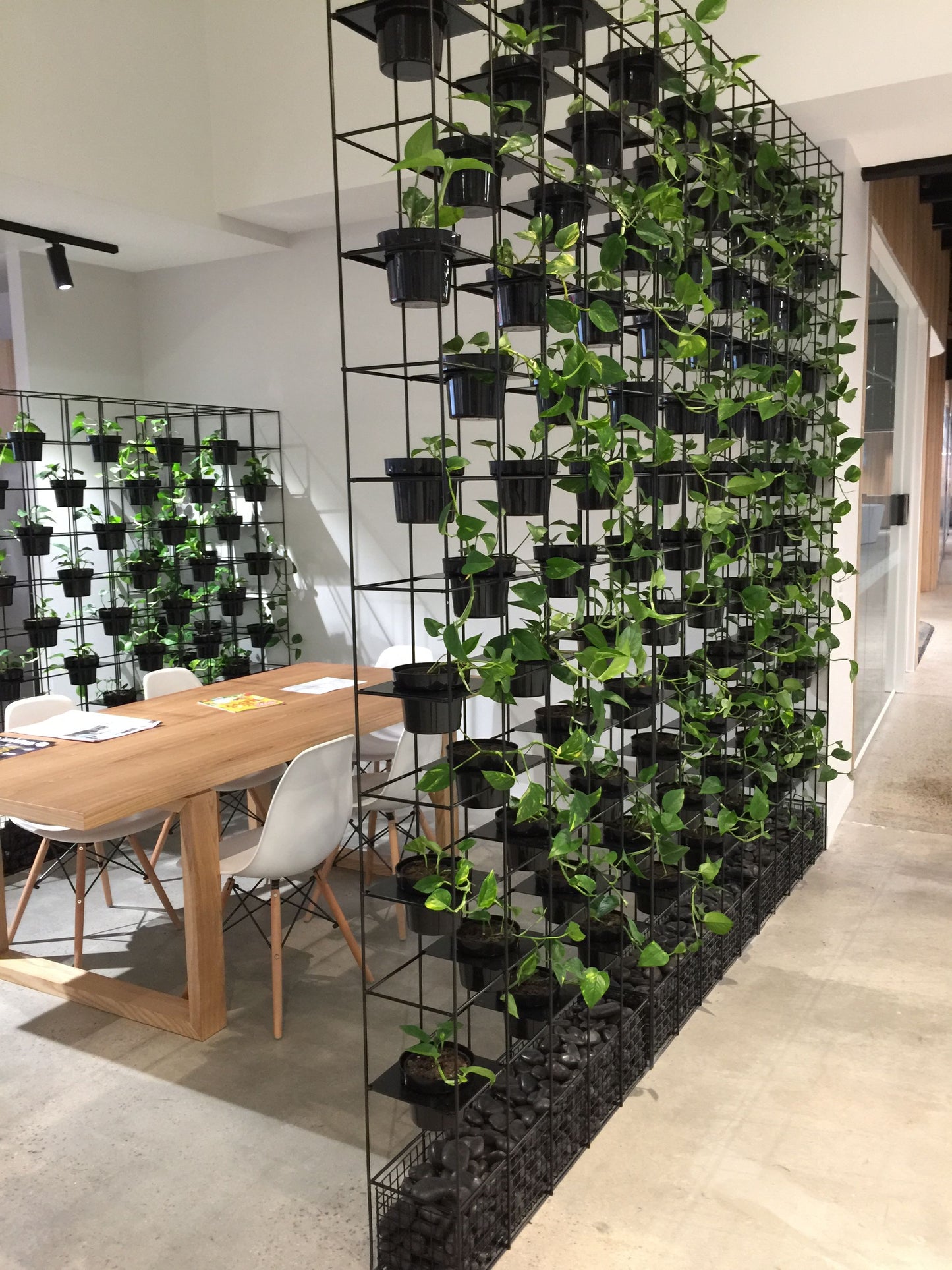 Vertical Garden Installation