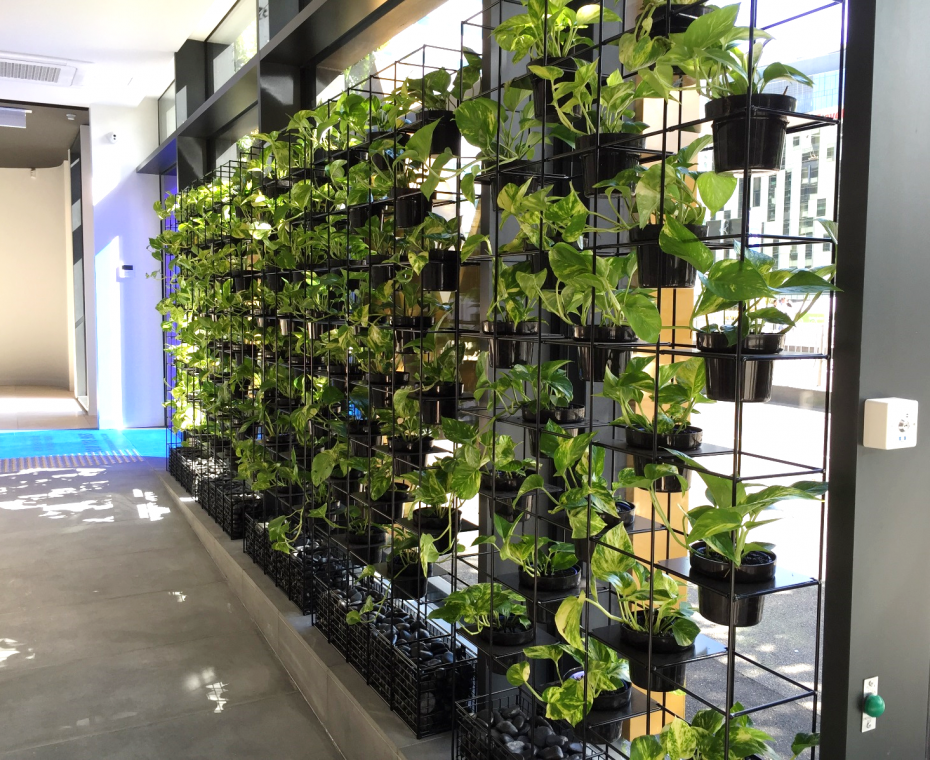 Vertical Garden Installation