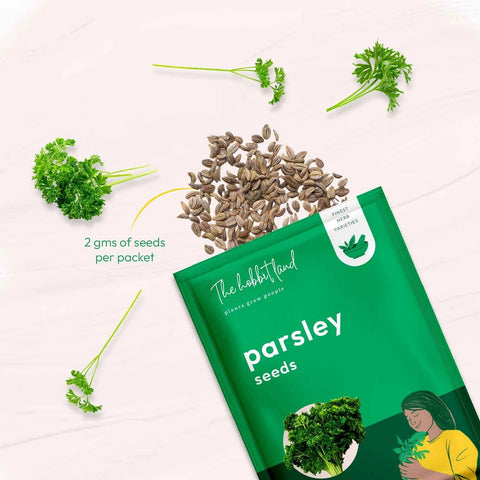 Parsley