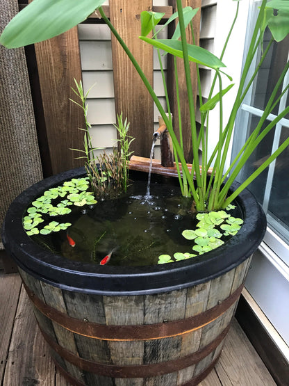 Ponds & Fountains - Setup & Maintenance