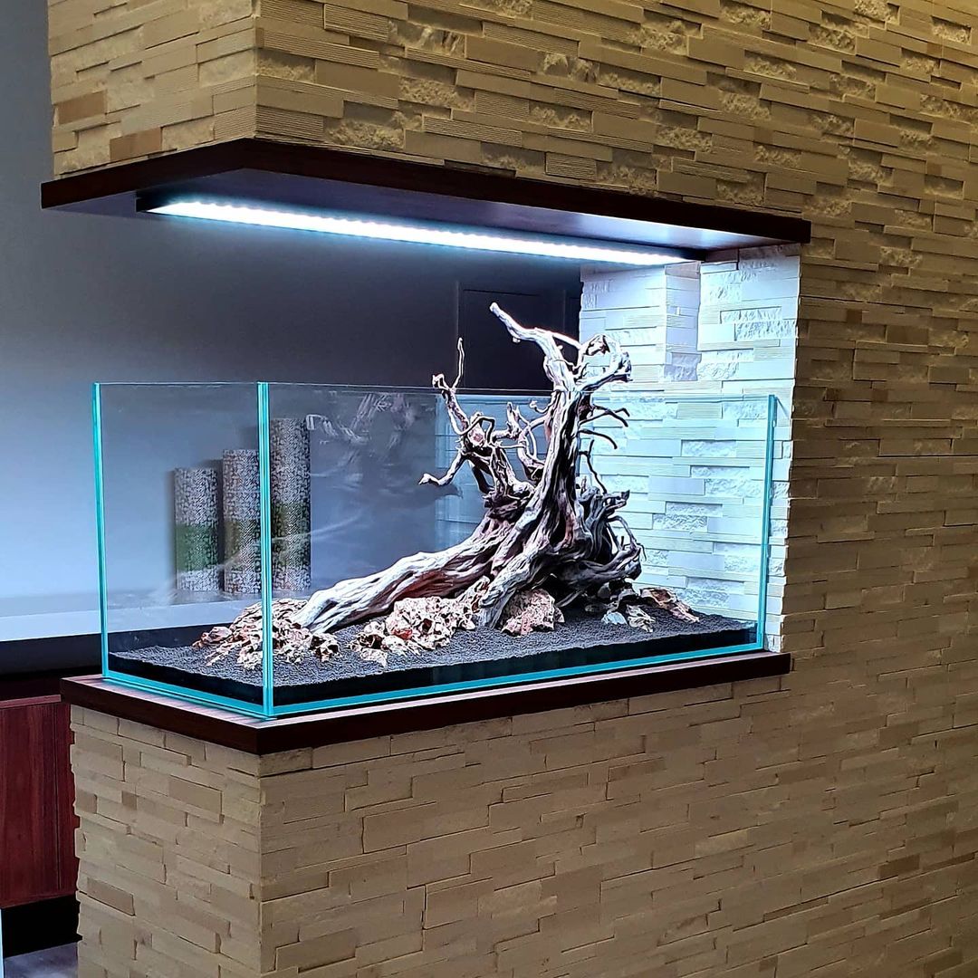 Aquarium Setup & Maintenance