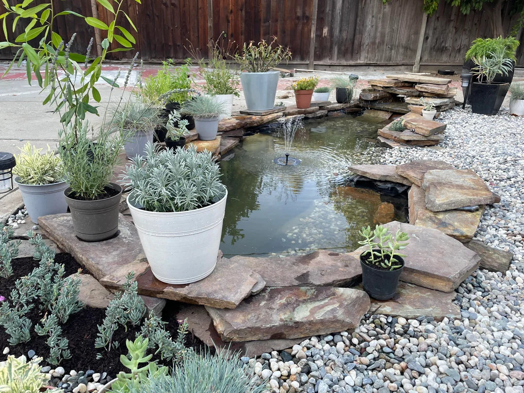 Ponds & Fountains - Setup & Maintenance