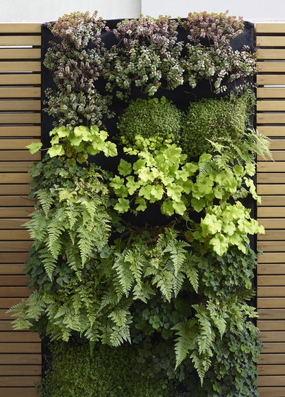 Vertical Garden Installation