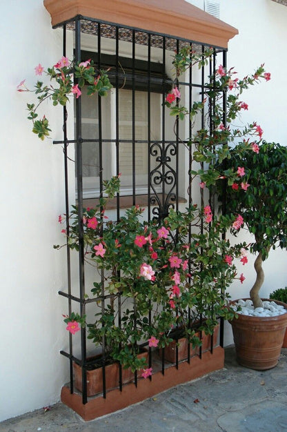 Vertical Garden Installation