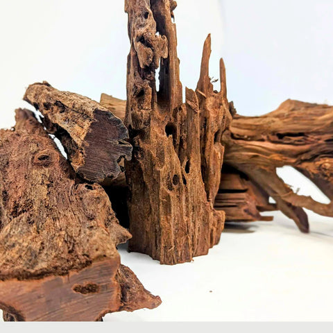 Malaysian Driftwood