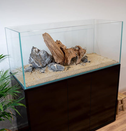 Aquarium Setup & Maintenance