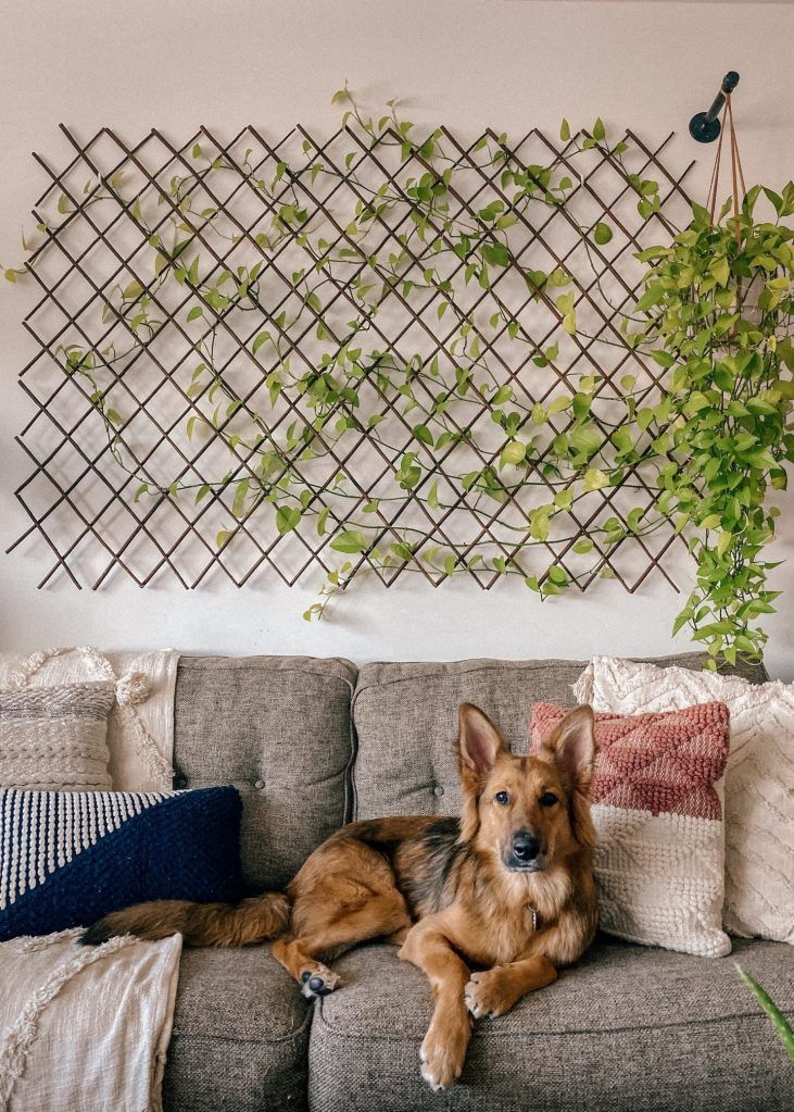 Vertical Garden Installation