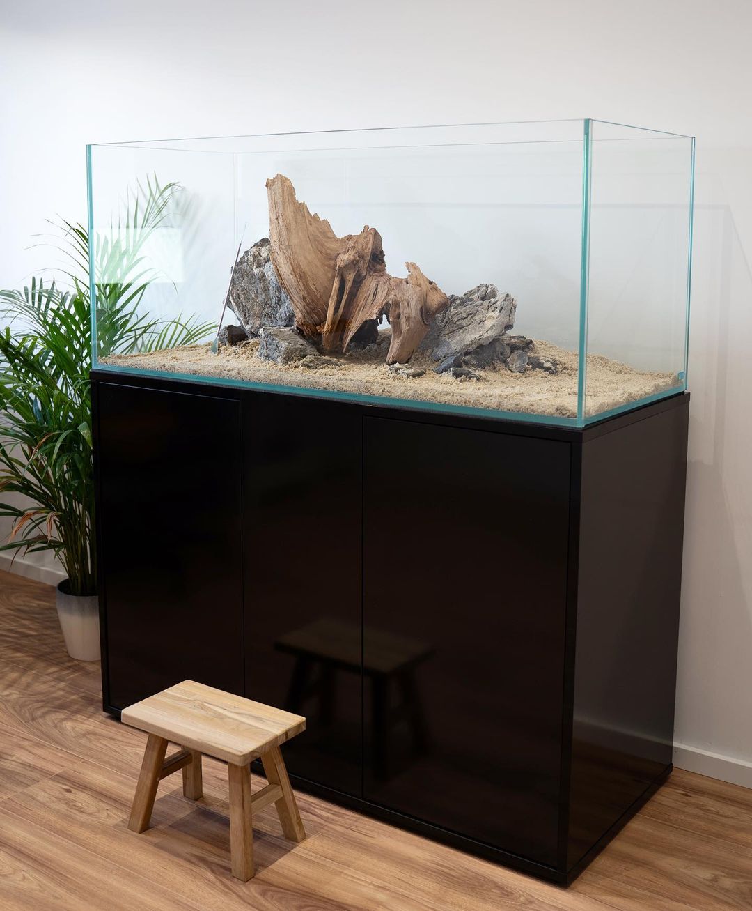 Aquarium Setup & Maintenance