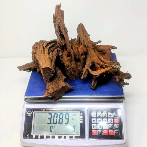 Malaysian Driftwood