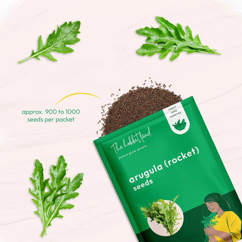Arugula